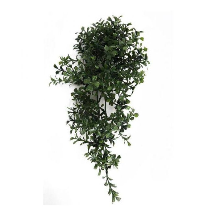 Decoratiegroen in de vorm van een buxus boom