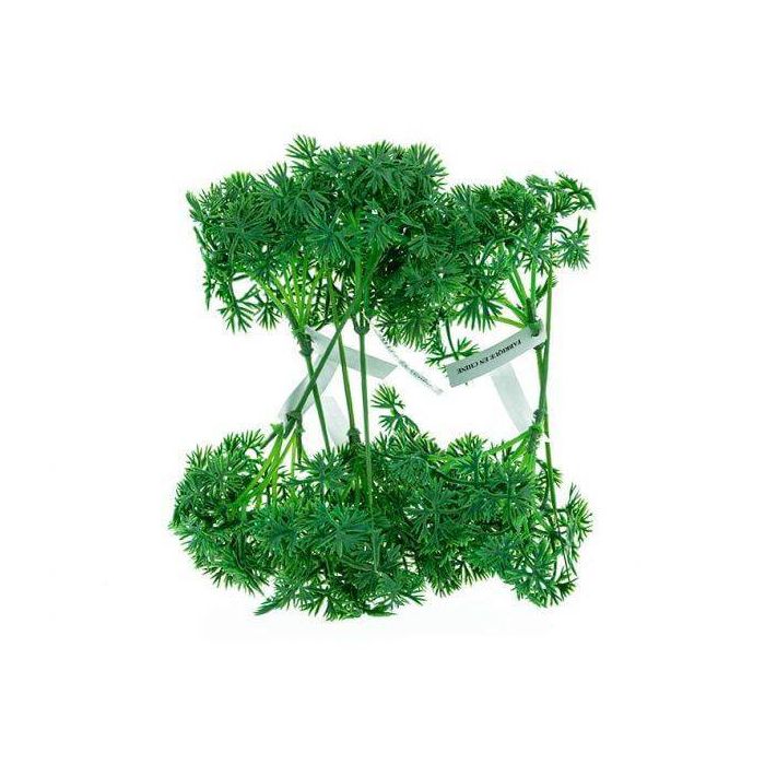 Steekgroen Peterselie is geschikt als decoratiegroen