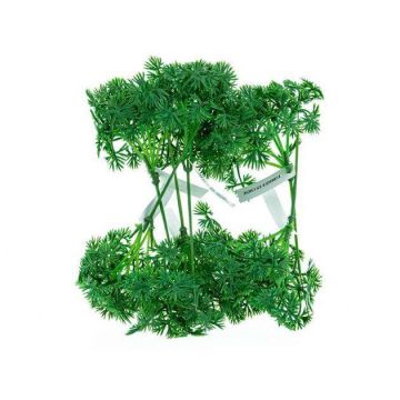Steekgroen Peterselie is geschikt als decoratiegroen